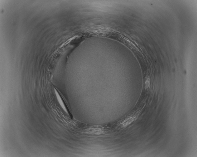 X0000081601156200702051322