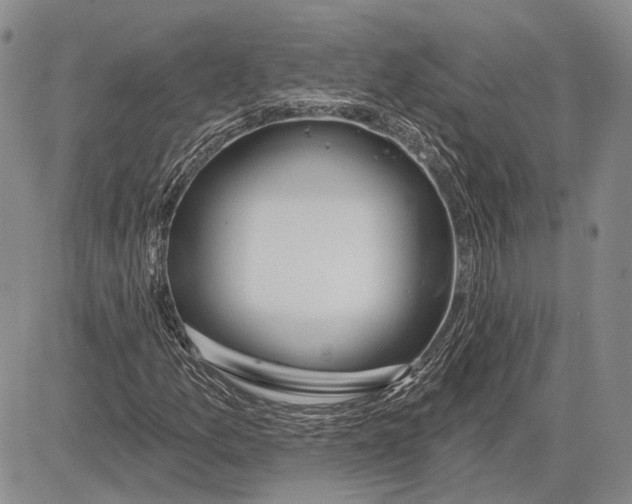 X0000081601157200702051322