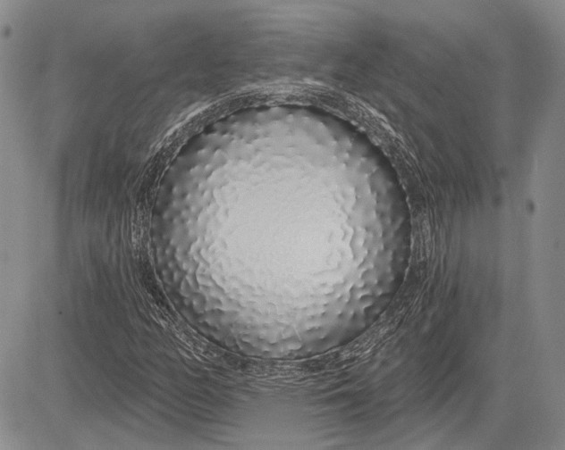 X0000081601158200702051322