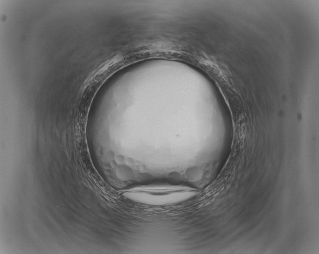 X0000081601159200702051322