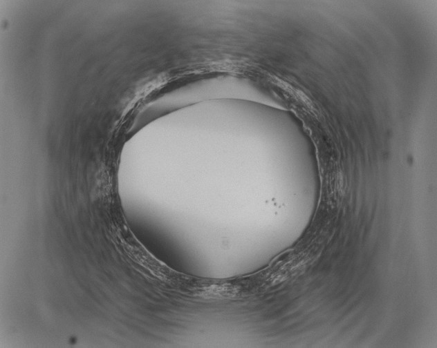 X0000081601160200702051322