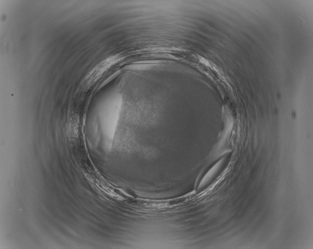 X0000081601161200702051322