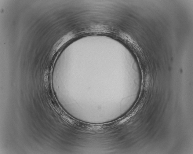 X0000081601162200702051322