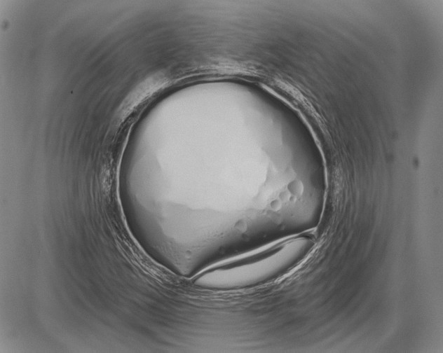 X0000081601163200702051322