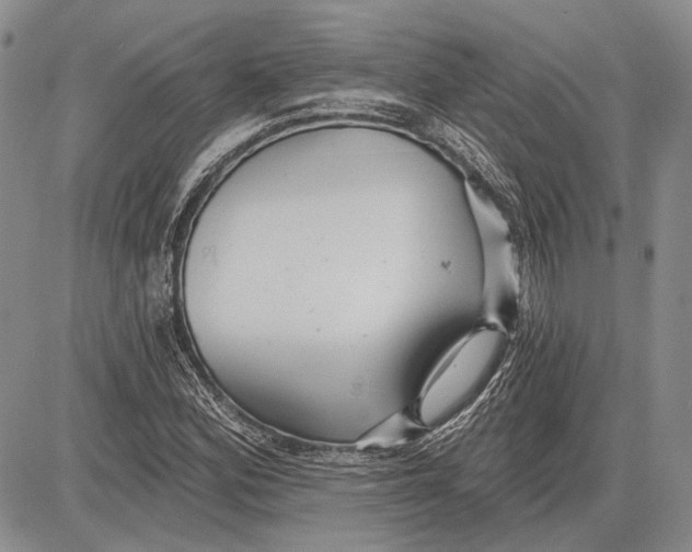 X0000081601164200702051322