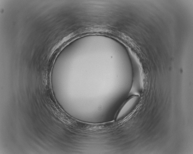 X0000081601165200702051322