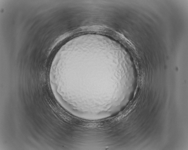 X0000081601166200702051322