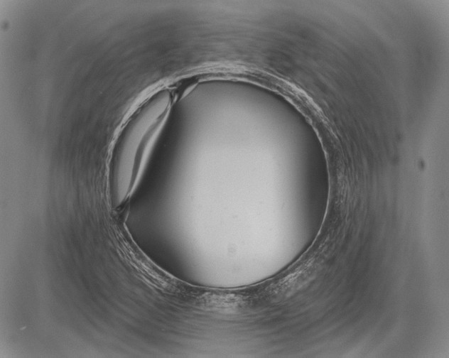 X0000081601168200702051322