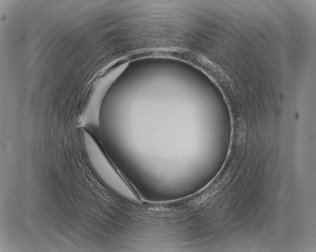 X0000081601169200702051322