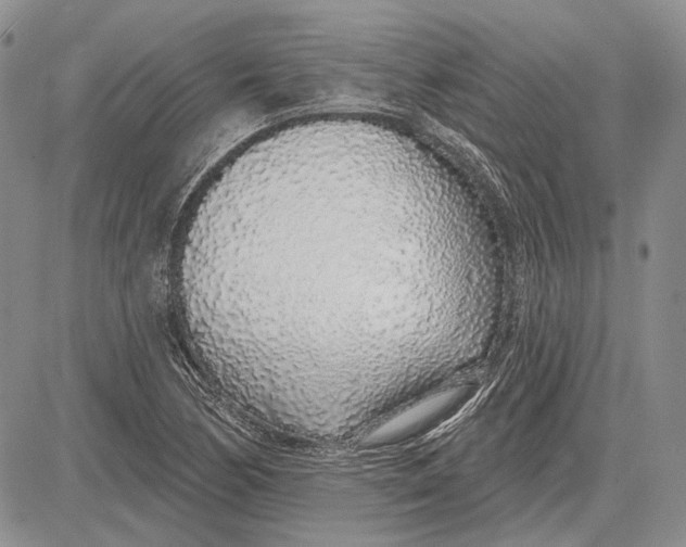 X0000081601170200702051322