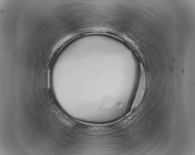 X0000081601171200702051322