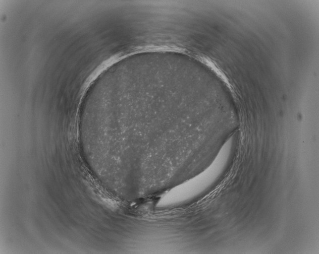 X0000081601173200702051322