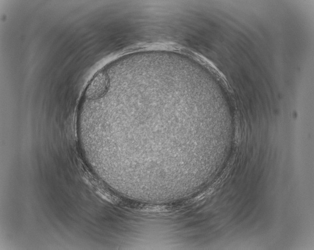 X0000081601174200702051322