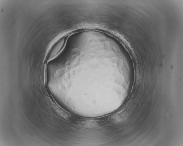 X0000081601175200702051322