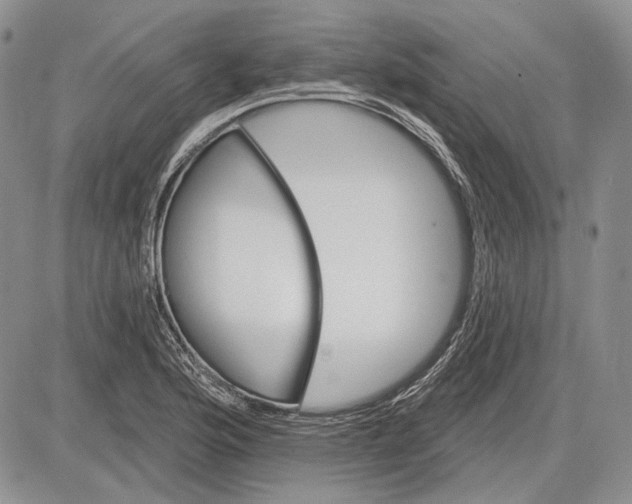 X0000081601176200702051322