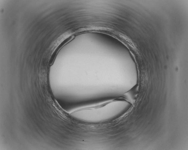 X0000081601177200702051322