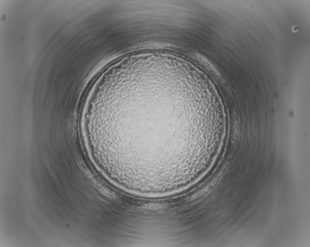 X0000081601178200702051322