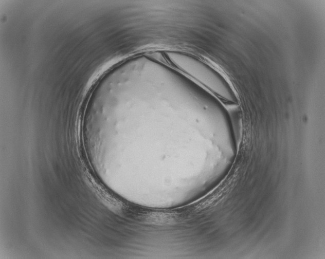 X0000081601179200702051322