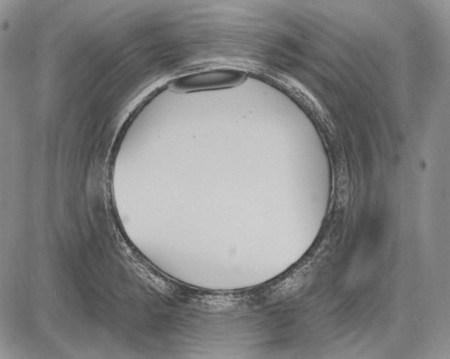 X0000081601182200702051322