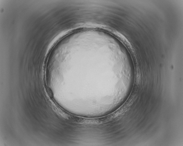 X0000081601183200702051321