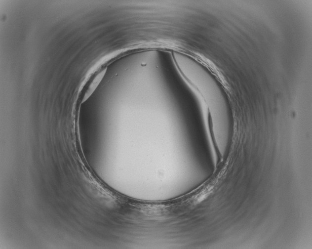 X0000081601184200702051321