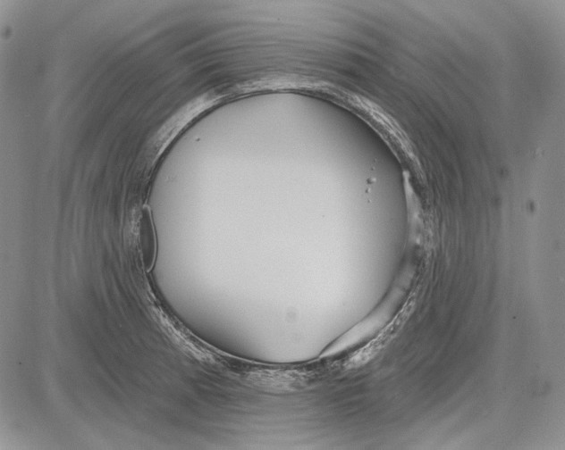 X0000081601185200702051321