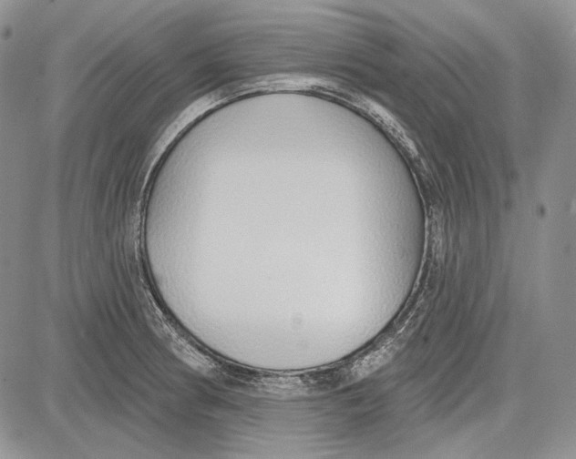 X0000081601186200702051321