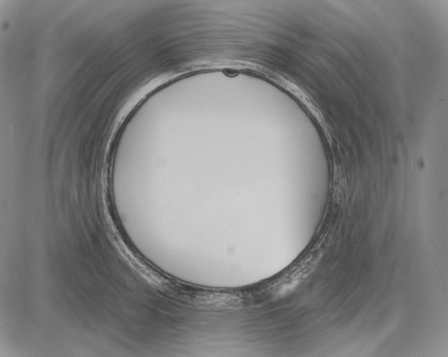 X0000081601187200702051321