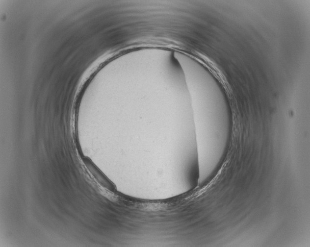 X0000081601188200702051321