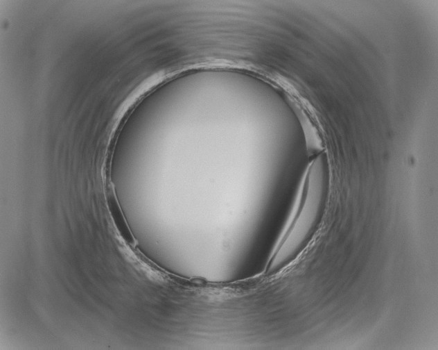 X0000081601189200702051321