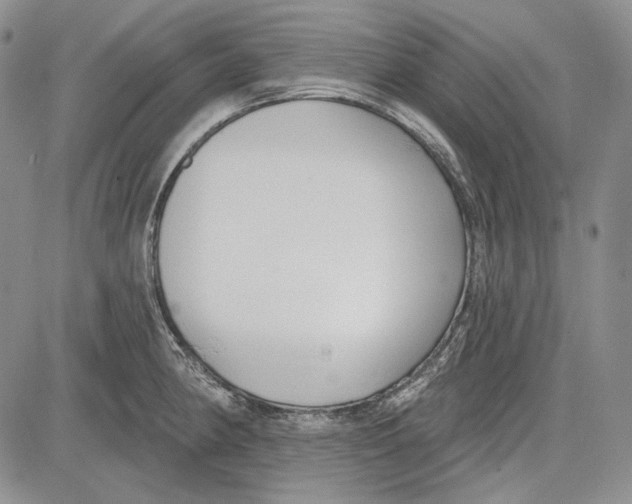 X0000081601190200702051321