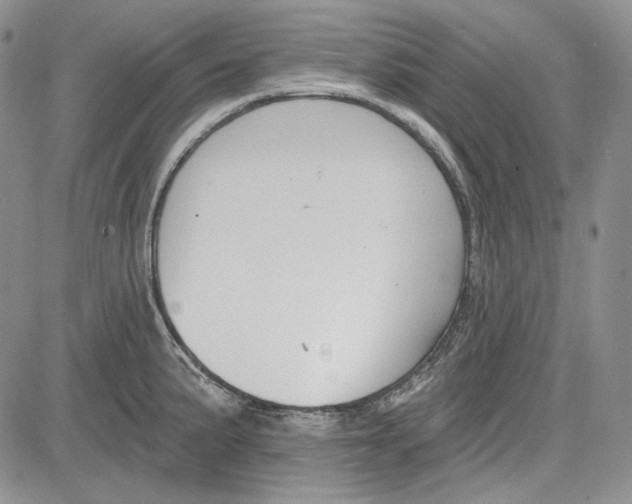 X0000081601191200702051321