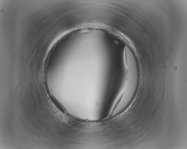 X0000081601192200702051321