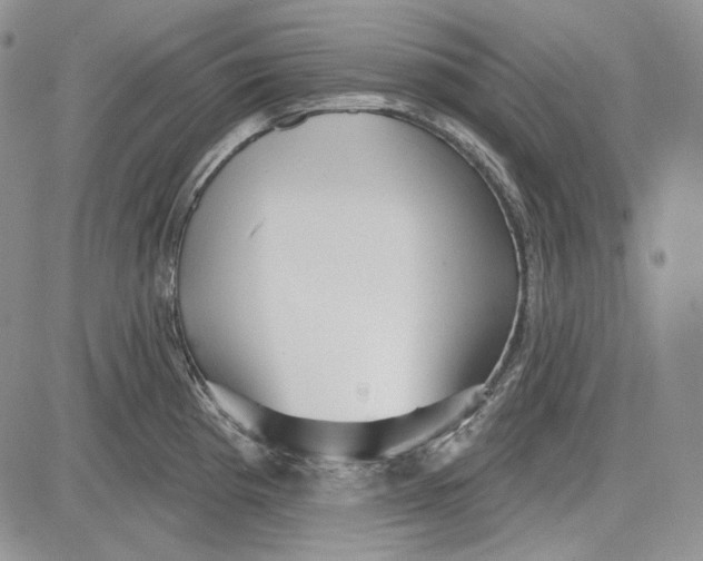 X0000081601193200702051321