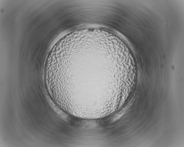 X0000081601194200702051321