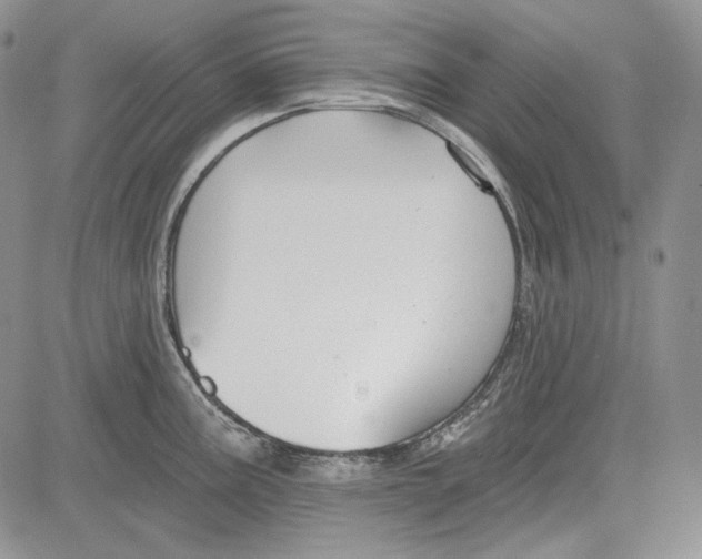 X0000081601195200702051321