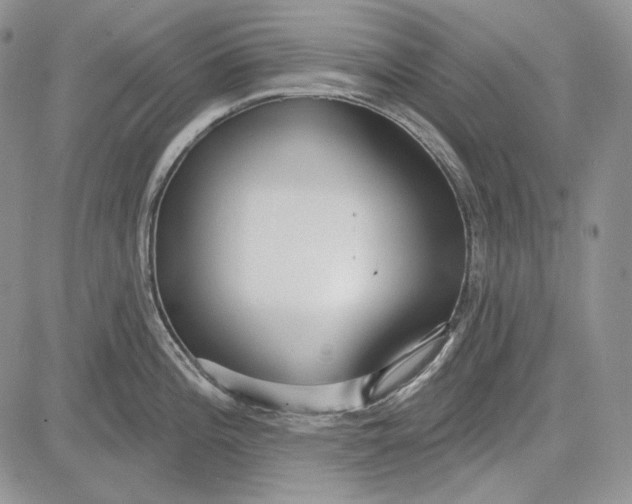 X0000081601196200702051321