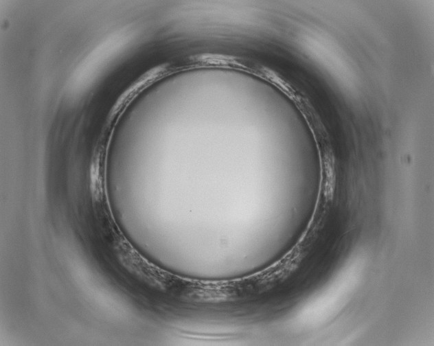 X0000081601198200702051321