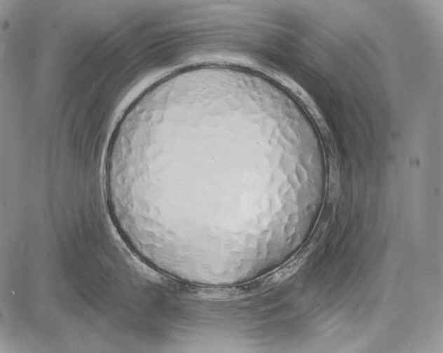 X0000081601199200702051321