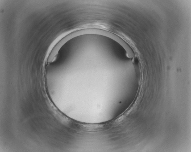 X0000081601200200702051321