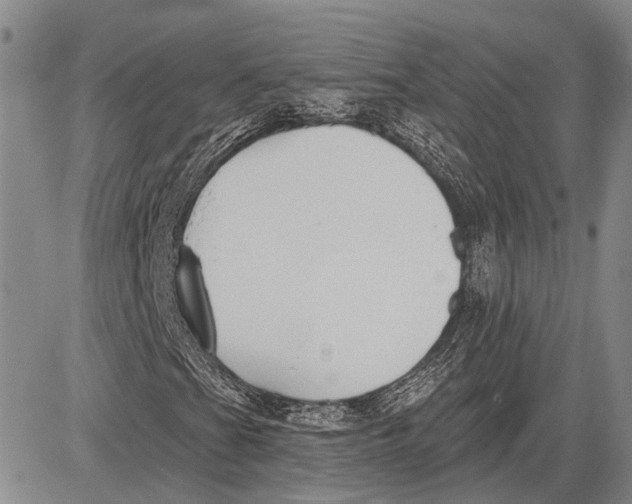 X0000081601201200702051320