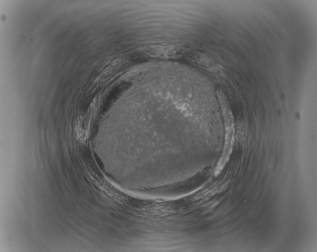 X0000081601202200702051320