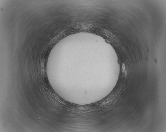 X0000081601203200702051320