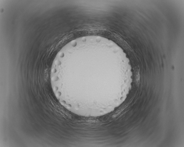 X0000081601204200702051320