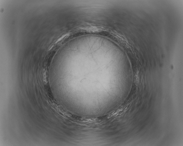 X0000081601205200702051320