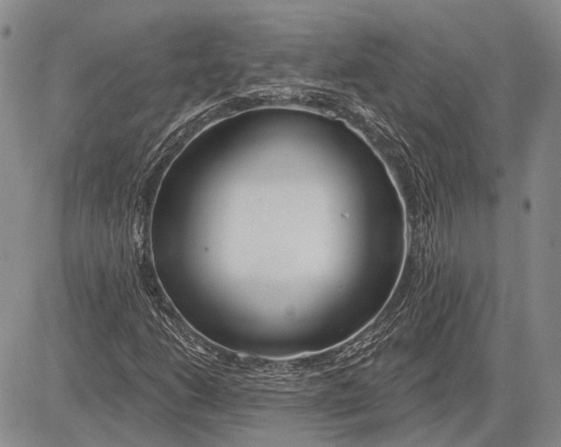 X0000081601206200702051321