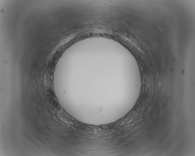 X0000081601207200702051321