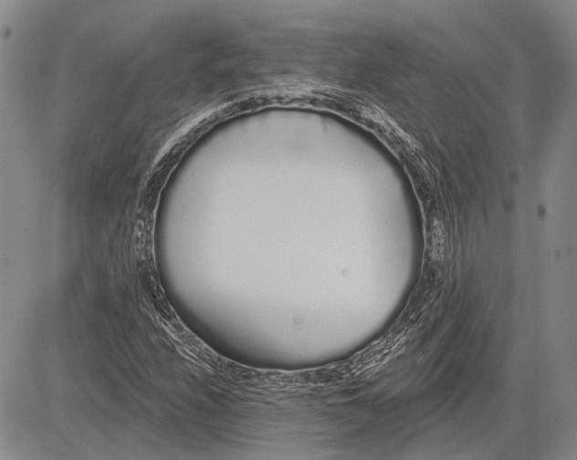 X0000081601208200702051321