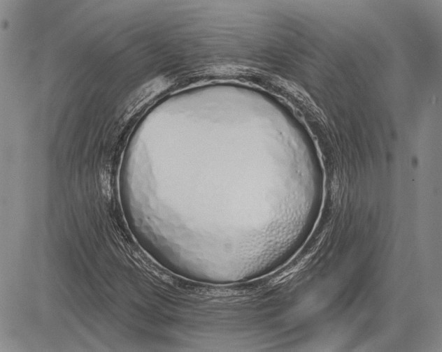 X0000081601209200702051321