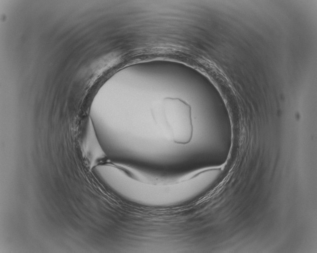 X0000081601210200702051321